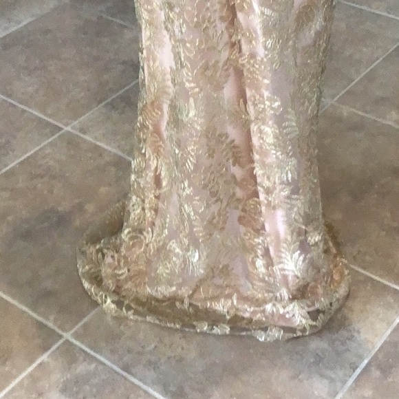 Tadashi Shoji gown, gold lace over blush shell, back zip, v back, size 14, NWT - Picture 5 of 12